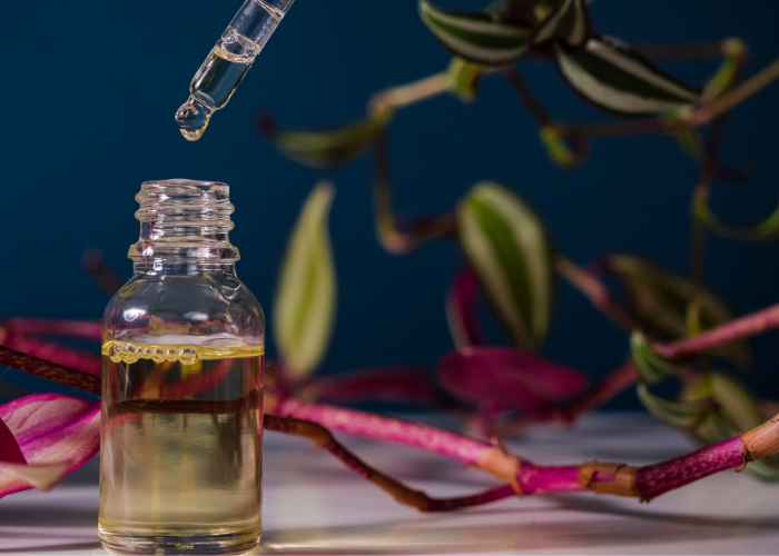 A Comprehensive Guide to Perfume Blending for All