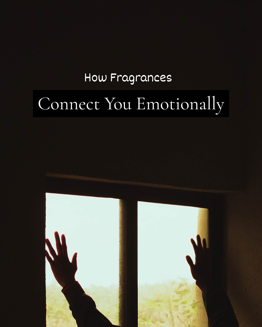 Evoke Nostalgia with Maison D'Abba